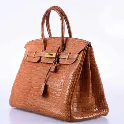 Hermès 2008 Birkin 35 Fauve Barenia Matte Porosus Crocodile Gold Hardware