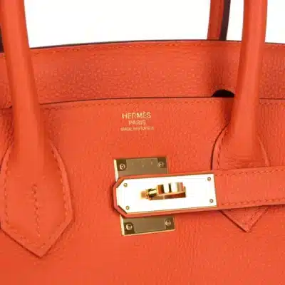 Hermès 2020 Birkin 30 Feu Togo logo