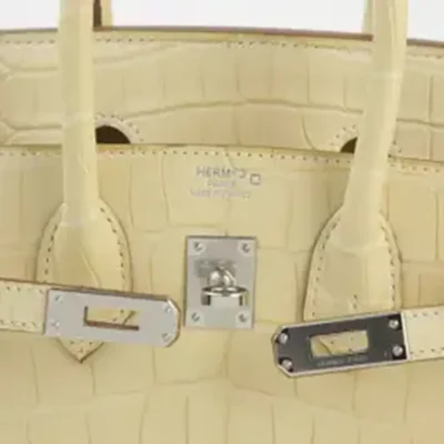 Hermès 2022 Birkin 25 Vanille Matte Alligator Mississippiensis Palladium Hardware