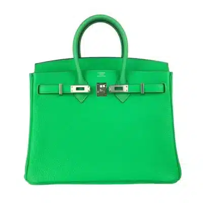 Hermès 2023 Birkin 25 Vert Comics Green Togo Palladium Hardware