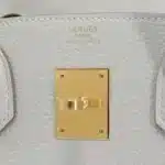 Hermès 2023 Birkin 30 Gris Pale Togo Gold Hardware