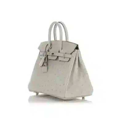 Hermès Birkin 25 Gris Perle Verso Ostrich Palladium Hardware