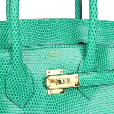 Hermès Birkin 25 Menthe Varanus Niloticus Lizard Gold Hardware