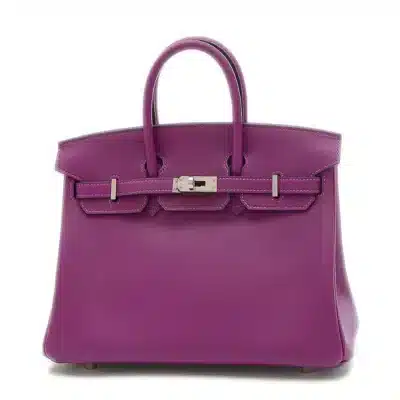 Hermès Birkin 25 Purple Togo Silver Hardware