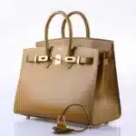 Hermès Birkin 25 Sellier Bronze Dore Madame Grain Gold Hardware