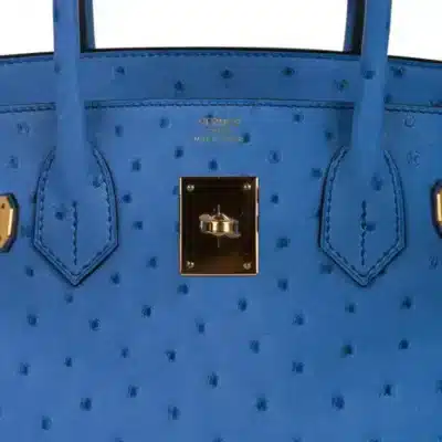 Hermès Birkin 30 Blue Colvert Ostrich Gold Detail1