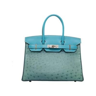 Hermès Birkin 30 Colvert Ostrich Palladium Hardware