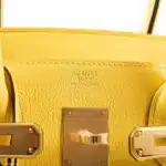 Hermès Birkin 30 Jaune de Naples Taurillon Novillo Gold Hardware Best Lushentic Bags