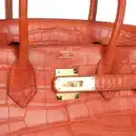 Hermès Birkin 30 Sanguine Matte Alligator Mississippiensis Gold Hardware