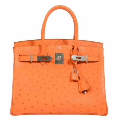 Hermès Birkin 30 Tangerine Ostrich Palladium Hardware