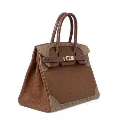 Hermès HSS Birkin 30 Tri-Color Marron/Etrusque/Mousse Ghillies Ostrich Permabrass Hardware