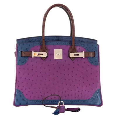 Hermès HSS Guilles Birkin 30 Tri-Color Violine Blue De Malt And Marron Ostrich Palladium Hardware