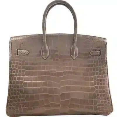 Hermès Birkin 35 Poussiere Matte Porosus Crocodile back1