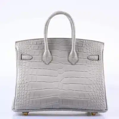 Hermès HSS 2019 Birkin 25 Gris Perle Matte Alligator Mississippiensis Gold Hardware