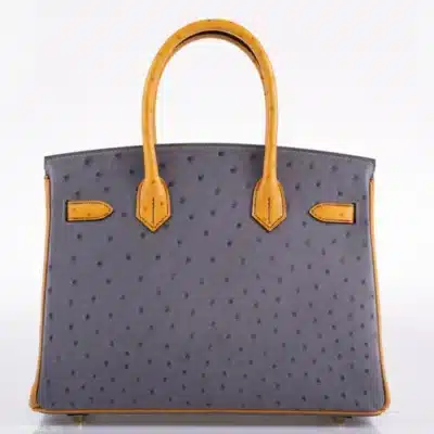 Hermès HSS 2020 Birkin 30 Gris Agate and Saffron Ostrich Gold Hardware