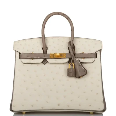 Hermès HSS Birkin 25 Beton And Gris Asphalte Ostrich Brushed Gold Hardware