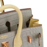 Hermès HSS Birkin 25 Gris Perle and Vanille Matte Alligator Mississippiensis Rose Gold Hardware