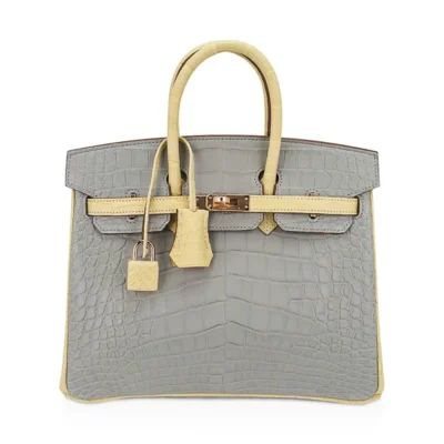 Hermès HSS Birkin 25 Gris Perle and Vanille Matte Alligator Mississippiensis Rose Gold Hardware