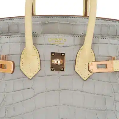 Hermès HSS Birkin 25 Gris Perle and Vanille Matte Alligator Mississippiensis Rose Gold Hardware