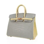 Hermès HSS Birkin 25 Gris Perle and Vanille Matte Alligator Mississippiensis Rose Gold Hardware