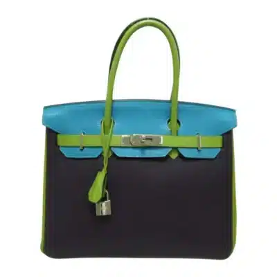 Hermès HSS Birkin 25 Multicolor Togo Palladium Hardware