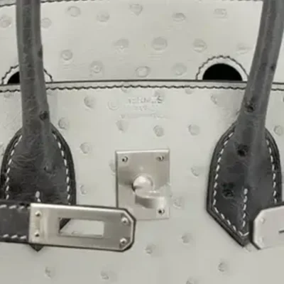 Hermès HSS Birkin 25 Pearl Gray and Graphite Ostrich logo1