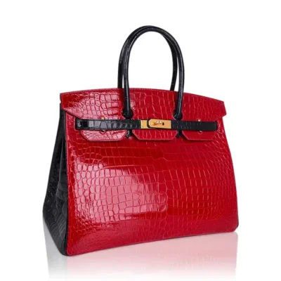 Hermès HSS Birkin 35 Braise And Black Shiny Porosus Crocodile Gold Hardware Affordable designer bag dupes