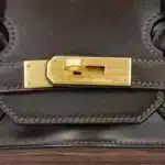 Hermès Limited Edition Birkin 35 Ebene/Orange Vibrato/Goatskin & Box Calfskin Brushed Gold Hardware