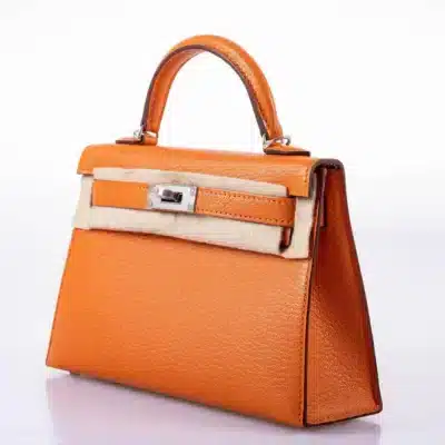 Hermès Mini Kelly 20 II Sellier Orange Verso Gold Chevre Palladium Hardware